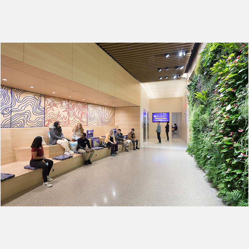 Professional architectural photograph of a college in New York City